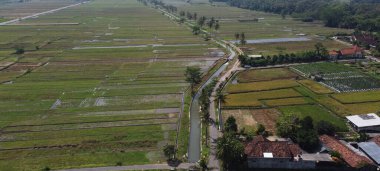 Yogyakarta Endonezya 'daki tarımsal sulama kanallarıyla hindistan cevizi ağaçları ve pirinç tarlalarının havadan görünüşü