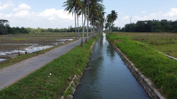Vue Aérienne Cocotiers Avec Canaux Irrigation Agricoles Yogyakarta Indonésie — Photo