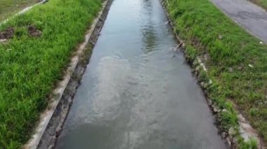 Akan bir nehrin havadan görünüşü. Pirinç tarlalarını sulamak için nehir