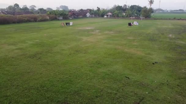 Vista Aérea Campo Fútbol Campo — Vídeos de Stock