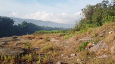 Kuruyan çimenlerle dolu nehir kıyıları