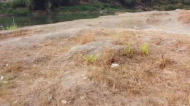 Nehir kıyısının havadan görüntüsü. Bir sürü kayası olan güzel bir nehir