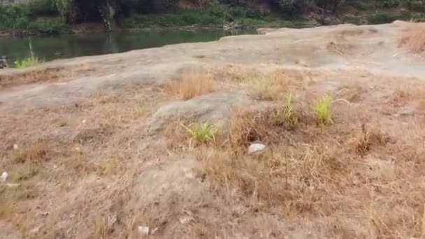Letecký Pohled Břeh Řeky Krásná Řeka Mnoha Kameny — Stock video