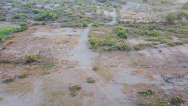 Pemandangan Indah Daerah Sekitar Pantai Parangtritis Yogyakarta Indonesia — Stok Video