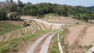 Kuru pirinç teraslarının hava görüntüleri.
