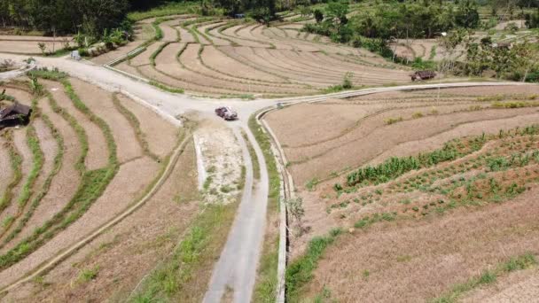 乡村收获的稻田的美丽景色 — 图库视频影像
