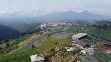 Sumbing Dağı 'nın yamaçlarındaki sebze tarlalarının hava görüntüleri.
