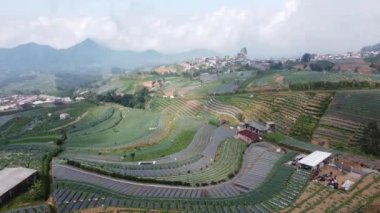 Sumbing Dağı 'nın yamaçlarındaki sebze tarlalarının hava görüntüleri.