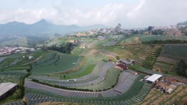 Sumbing Dağı 'nın yamaçlarındaki sebze tarlalarının hava görüntüleri.