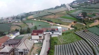 Sumbing Dağı 'nın yamaçlarındaki sebze tarlalarının hava görüntüleri.