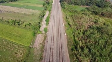 Pirinç tarlalarını geçen tren rayları.