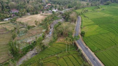Otoyolun kenarındaki güzel pirinç tarlalarının hava manzarası.