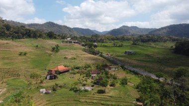 Rumah di ladang yang hijau 'nun havadan görünüşü