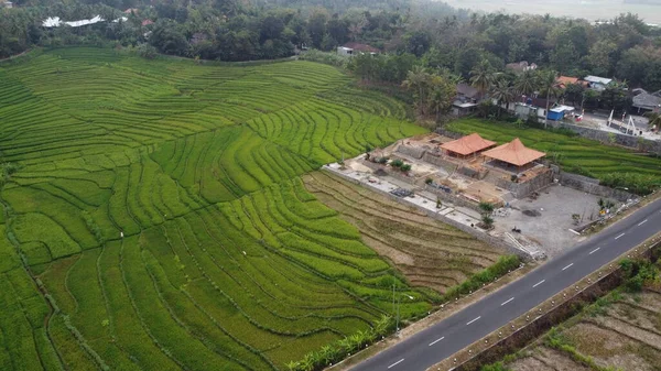 Aerial View Beautiful Rice Fields Side Highway — Stock Photo, Image