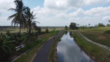 Nanggulan Kulon Progo 'daki pirinç tarlası sulama kanallarının hava görüntüleri.