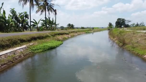 Letecké Záběry Zavlažovacích Kanálů Rýžového Pole Nanggulanu Kulon Progo — Stock video