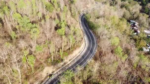 乾燥した木のある丘のアスファルトの道路の空撮 — ストック動画