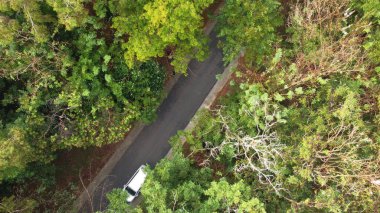 Ormanın ortasında asfalt yol