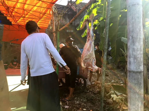 Yogyakarta Indonesië Juli 2020 Slachting Van Offerdieren Tijdens Eid Adha — Stockfoto