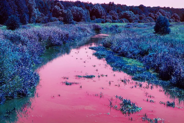 Pembe nehri olan parlak mavi-mor bir orman arka planı. Mavi eğimli renk filtresi. Muhteşem büyülü sanatsal görüntüler. Modern moda tarzı renk. Yaratıcı düzen, renkli, yatay