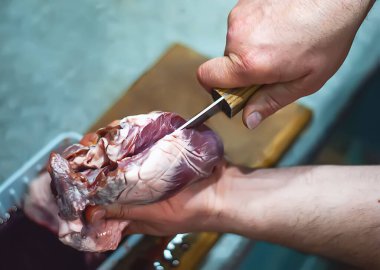 Bir adamın eli evdeki mutfakta bir domuzun kalbini bıçakla kesiyor. Domuzların katledilmesi, üretim. Bir domuzun kalbi.