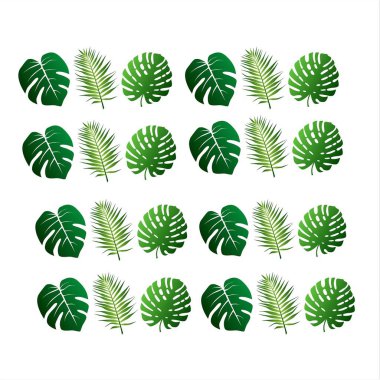 Beyaz arkaplanda farklı dokularda yeşil yaprakların toplanmasının gösterimi.