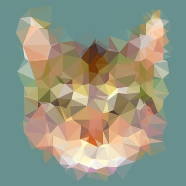 soyut geometrik çokgen arkaplan