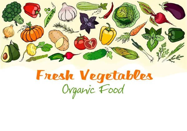 Olgun, taze sebzeler ve beyaz arka planda aromatik otlar. Yiyecek toplama. Tak vektörü.