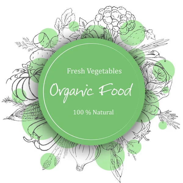Érett Friss Zöldségek Aromás Gyógynövényekkel Fehér Háttérrel Élelmiszer Begyűjtés Készletvektor — Stock Vector
