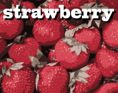 Sulu, olgun çilekler. Çilek arkaplanı. Poster, afiş, örnek. Metinli vektör. Stok illüstrasyonu.