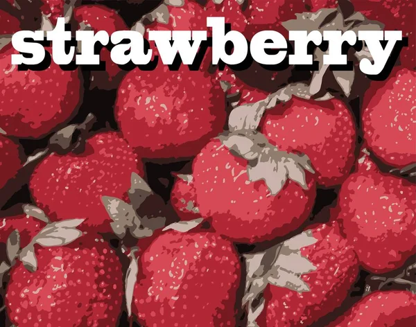 Sulu, olgun çilekler. Çilek arkaplanı. Poster, afiş, örnek. Metinli vektör. Stok illüstrasyonu.