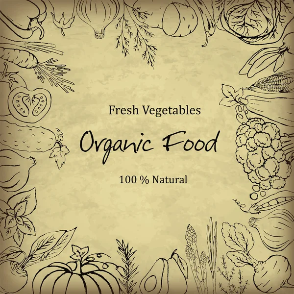 Sebzeler ve bitkiler eski usul çizilmiş. Siyah beyaz çizim. Yiyecek toplama. Tak vektörü.