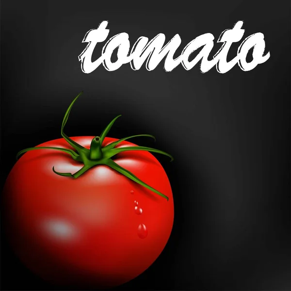 Tomate Rouge Légume Mûr Sur Fond Sombre Aliments Biologiques Écologiques — Image vectorielle