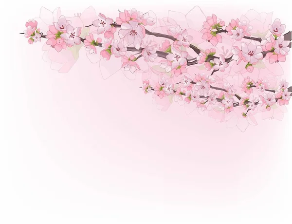 樱花枝条精致 红色花朵的樱桃 芽和花瓣 种群病媒 免版税图库插图