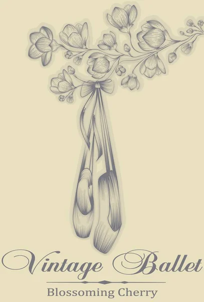 Kiraz çiçeklerinin dalında asılı balerin ayakkabıları. Poster, poster ya da afiş için dizayn edilmiş. Eski bir gravür tarzında, yazıyla birlikte bir resim. Stok vektörü.