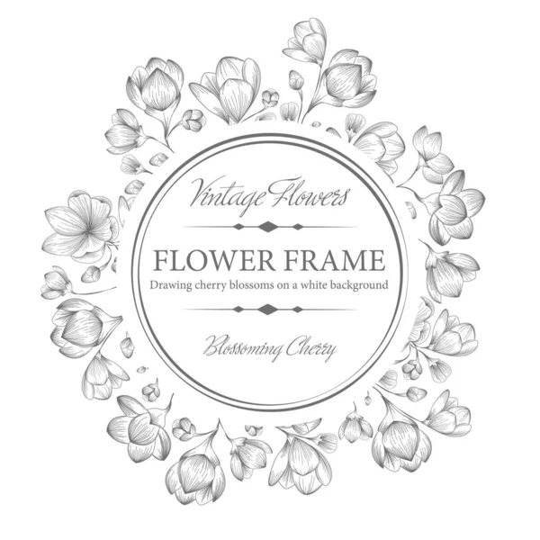 Kapak, dizayn için şablon. Beyaz arka planda retro kiraz çiçeği olan bir vektör. İşleme tarzında bir illüstrasyon. Metnin için boşluk.