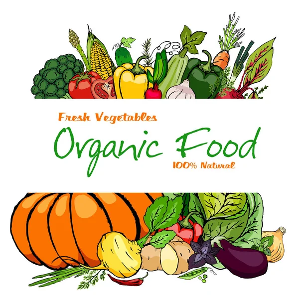 Olgun, taze sebzeler ve beyaz arka planda aromatik otlar. Yemek koleksiyonu. Stok vektörü.