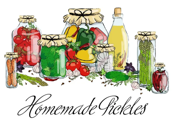自制制剂 腌菜和保鲜品 装有蔬菜和香草的玻璃瓶 图库插图
