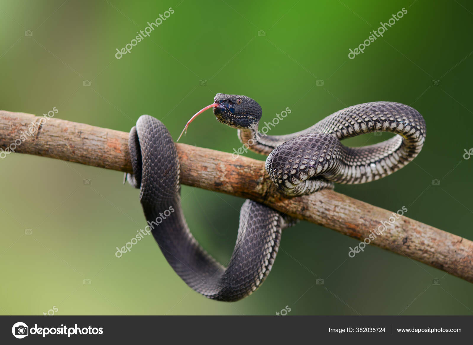 Birinchi anal jinsiy aloqa porno Jamoat transportida yapon ayolining porno videosi