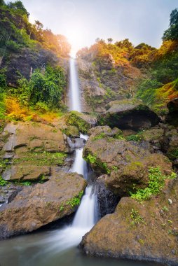 Curug Sewu Bruno Waterfall doğal güzelliğinin tadını çıkarmak için güzel bir turistik yerdir. Bu şelale Purworejo - Endonezya 'daki tropikal ormanlar arasında yer almaktadır.