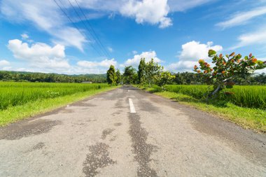 Curug Sewu Bruno Waterfall doğal güzelliğinin tadını çıkarmak için güzel bir turistik yerdir. Bu şelale Purworejo - Endonezya 'daki tropikal ormanlar arasında yer almaktadır.