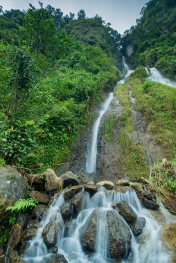 Jurug Putri, Purworejo Regency, Central Java 'da bulunan tropikal bir ormanda yer almaktadır.