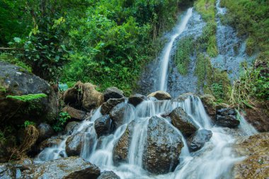 Jurug Putri, Purworejo Regency, Central Java 'da bulunan tropikal bir ormanda yer almaktadır.