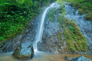 Jurug Putri, Purworejo Regency, Central Java 'da bulunan tropikal bir ormanda yer almaktadır.