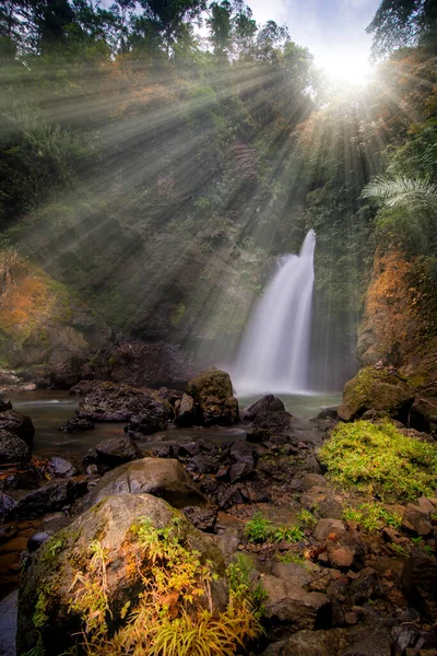 Curug Putri Brono Şelalesi Doğal Güzelliğinin Tadını Çıkarmak Için Güzel — Stok fotoğraf