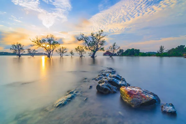 Krásný Východ Slunce Pláži Elyora Barelang Batam Mangrovníky Korálové Útesy — Stock fotografie