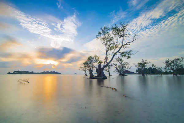 Krásný Východ Slunce Pláži Elyora Barelang Batam Mangrovníky Korálové Útesy — Stock fotografie