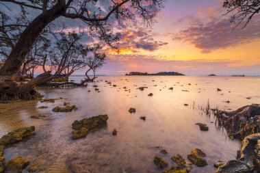Elyora Barelang Batam sahilinde güzel bir gün doğumu. Mangrov ağaçları ve mercan resifleri bu sahilde.