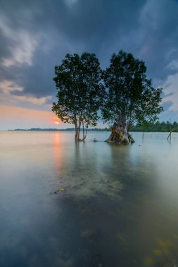 Elyora Barelang Batam sahilinde güzel bir gün doğumu. Mangrov ağaçları ve mercan resifleri bu sahilde.