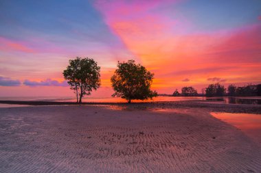 Batam adasının Malezya sahillerinde güzel bir atmosfer. Aile ve arkadaşlarla dinlenmek için mükemmel bir yer.